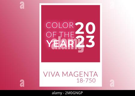 Color of the year 2023. Viva magenta tint. Institute Pantone. White polaroid frame. Design border frame. Stock Photo