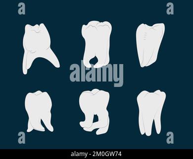 Diversity of molar teeth roots shapes. Stock Vector