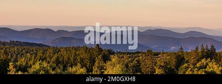 Panorama view from Schliffkopf over forest and mountains, Black Forest National Park, Northern Black Forest, Black Forest, Baden-Württemberg, Germany, Stock Photo