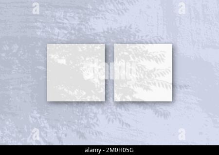 Natural light casts shadows from an exotic planton 2 square sheets of white textured paper lying on a blue background Stock Photo
