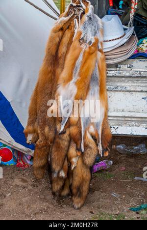 Furs for sale in the town of Tsochen, West Tibet, Asia Stock Photo