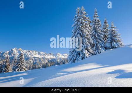 Gamsberg, Switzerland, Europe, canton St. Gallen, Rhine Valley ...