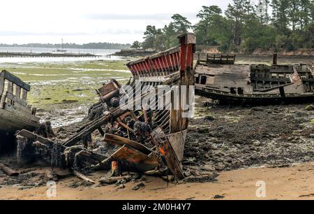 Shipwreck, abandoned boat, ship graveyard. Rotting boats lie abandoned on the shore. Stock Photo