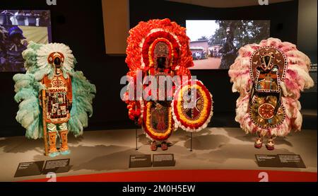 BLACK INDIANS EXHIBITION AT THE QUAI BRANLY MUSEUM Stock Photo