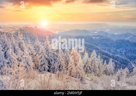 Black Forest, winter landscape, germany Stock Photo