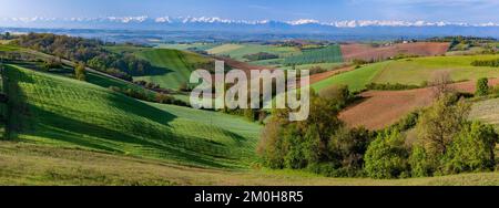 France, Gers, Masseube, in Astarac, landscape of the Gers with the Pyrenees in the background Stock Photo