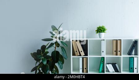 File folders, standing on the shelves at office Stock Photo