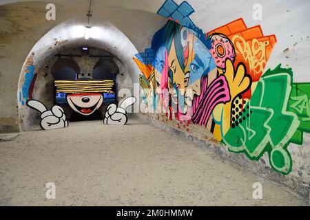 France, Haut-Rhin, Neuf Brisach, Museum of Urban Art and Street Art (MAUSA) housed in a former casemate of the Vauban citadel listed as World Heritage by UNESCO, mural by Bustart Stock Photo