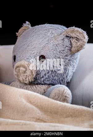 Vintage blue 2025 teddy bear