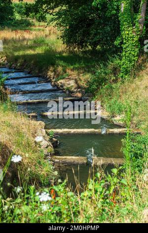 France, Ille-et-Vilaine, Maen Roch, Saint-Brice-en-Cogles, The Castles Walk hiking trail, the banks of Loisance river Stock Photo