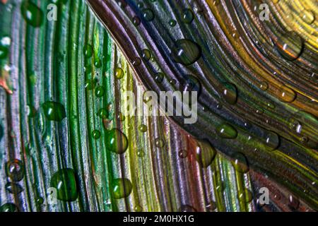Colorful multicolored paints are covered with water drops. Multicolor abstraction. Fantastic hypnotic surface. Abstract pattern close-up, movement of liquid paint texture with water drops. Selective focus. Stock Photo