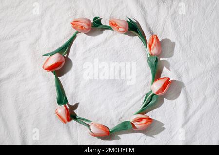 Easter design element. Tetile background with circle of orange tulips. Top view, flat lay, simple, minimal arrangement, square composition with copy Stock Photo