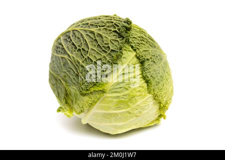 Savoy Cabbage head Isolated on white background. Fresh ripe savoy cabbage Stock Photo