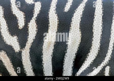 Polygonal Zebra Skin, Zebra Pattern, Black and White Stripes Stock Photo