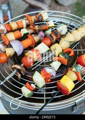 Skewers with mixed vegetables (zucchini, potato, carrot, bell pepper, mushroom) cooking on a charcoal grill