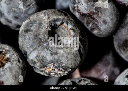 Blueberry texture as a background. A close shot of blueberries. Macro photo.blueberries. Stock Photo
