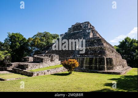 Ancient Pyramid in Chacchoben Mayan Site, Mexico Stock Photo