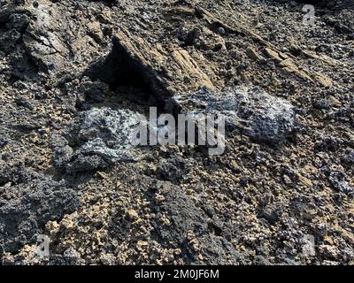 Mauna Loa, Hawaii, USA. 2nd Dec, 2022. Spatter bomb from fissure 3 of Mauna Loa's Northeast Rift Zone eruption. The bomb was molten and plastic when it fell to the ground. As it flew through the air, the molten lava stretched and started to break apart as it was cooling. As this bomb came to rest on the round it continued to cool and solidify with these stretched morphologies. Credit: USGS/ZUMA Press Wire Service/ZUMAPRESS.com/Alamy Live News Stock Photo