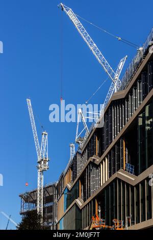 Cranes dominate the blue sky in this striking image of the new building headquarters for Google in progress.A huge building in construction as offices Stock Photo