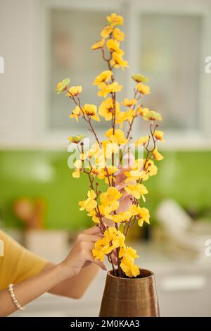 Hands of woman putting blooming apricot branches in vase Stock Photo