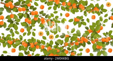 Branches apricot tree with ripe fruit beautiful. Garden plant with edible harvest. Seamless pattern composition. Branch with foliage and leaves. Isola Stock Vector