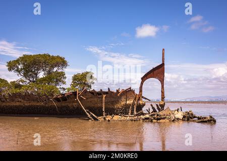 shipwreck on magnetic island with trees in water Stock Photo