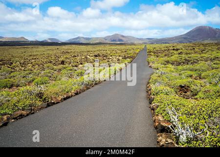 Black asphalt road leading through green bushes to volcanoes on the horizon, Lanzarote, Canary Islands, Spain Stock Photo