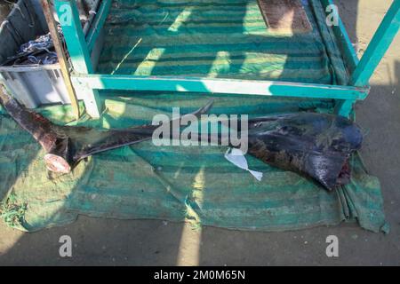 Fish Market at Puerto Lopez, Ecuador. Puerto López (16,000 inhabitants) is a small fishing village set in an arched bay on the Pacific coast in the Ec Stock Photo