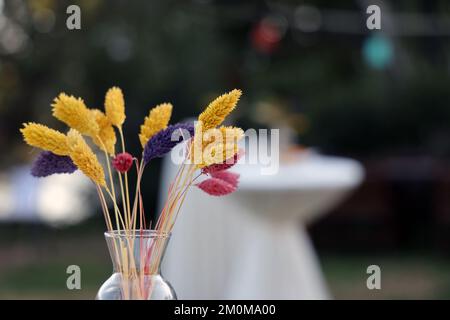 Dry flowers on the table in wedding decoration Stock Photo