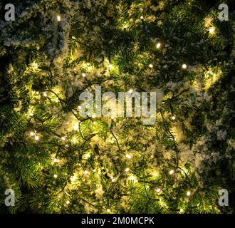Snowy Christmas tree and Xmas lights decoration close up. Winter holiday card template Stock Photo