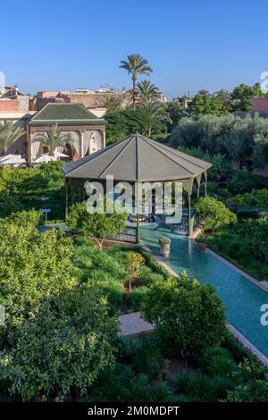 The Secret Garden in Marrakech. Two connected gardens one is filled with exotic plants and the second is an Islamic garden. Stock Photo