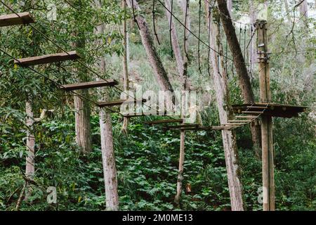 High ropes experience adventure tree park. Rope road course in trees ...