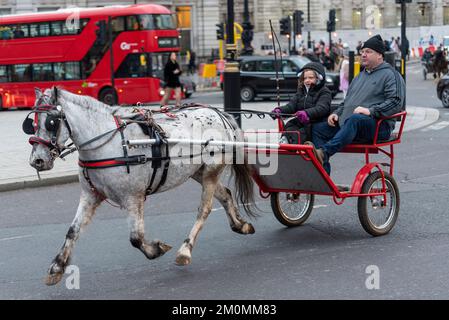 Event titled the London Christmas Horse Drive of Gypsies, Travellers