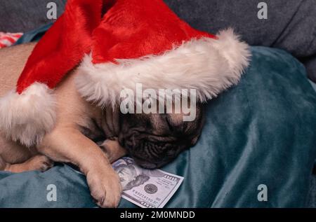 French bulldog puppy in Santa hat sleeping dollars. Stock Photo