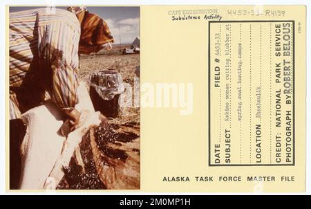 Eskimo woman cutting blubber at spring seal bunting camps. Alaska Task Force Photographs Stock Photo