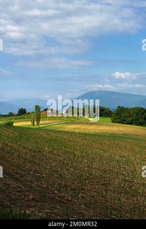 Road near Villiago and Sedico, in Belluno province, Veneto, Italy, at summer Stock Photo