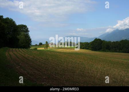 Road near Villiago and Sedico, in Belluno province, Veneto, Italy, at summer Stock Photo