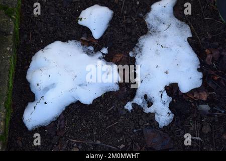 some snow Stock Photo