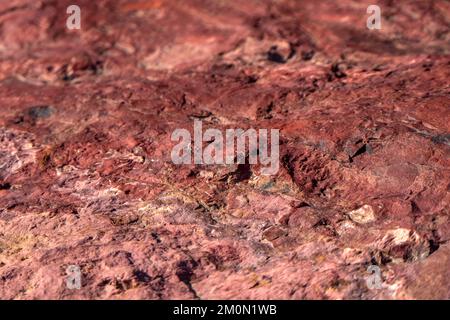 Colorful surface of mineralized stone. Ramon crater. Desert of the Negev. Israel. Selective focus Stock Photo