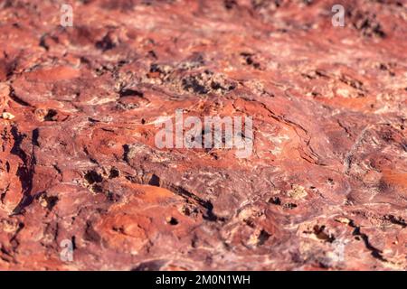 Colorful surface of mineralized stone. Ramon crater. Desert of the Negev. Israel. Selective focus Stock Photo