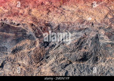 Colorful surface of mineralized stone. Ramon crater. Desert of the Negev. Israel. Selective focus Stock Photo