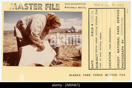 Eskimo woman cutting blubber from seal at spring seal hunting camps. Alaska Task Force Photographs Stock Photo