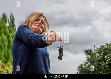 Middle aged blond woman holds a wet rat by the tail with a terrified and disgusted expression Stock Photo