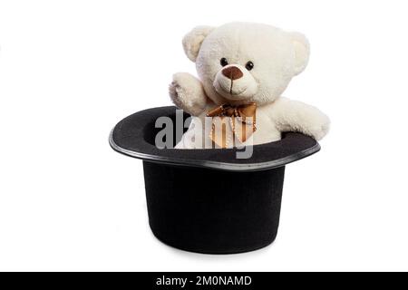 Isolated teddy bear with giant black hat Stock Photo