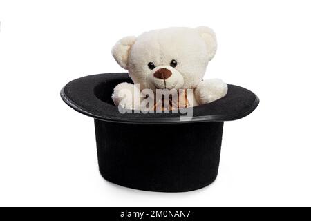 Isolated teddy bear with giant black hat Stock Photo