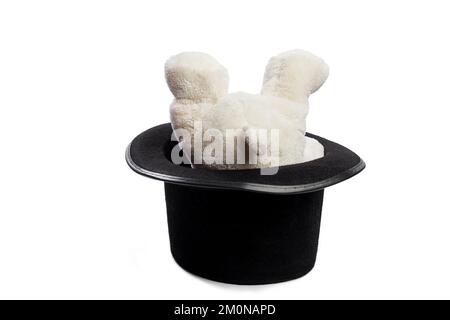 Isolated teddy bear with giant black hat Stock Photo