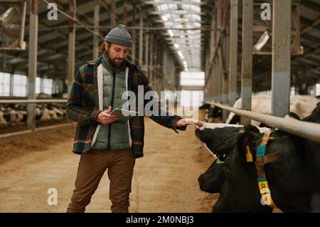 Farmer checking information online about milk cows using computer tablet on dairy farm Stock Photo