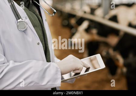 Close-up of veterinarian in uniform entering information online using digital tablet during his work on farm Stock Photo