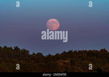 December full moon, named cold moon, rising in the east sky. Stock Photo
