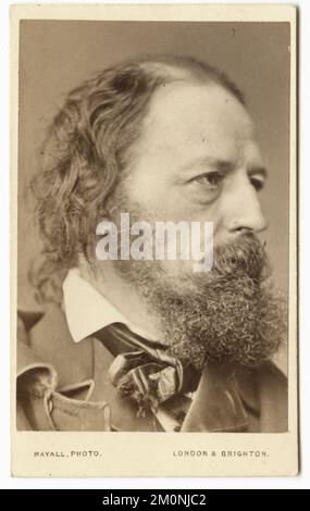 Portrait of British poet Alfred Tennyson, 1st Baron Tennyson (1850 - 1892), 1864. Photography by John Jabez Edwin Mayall (1813 - 1901) Stock Photo